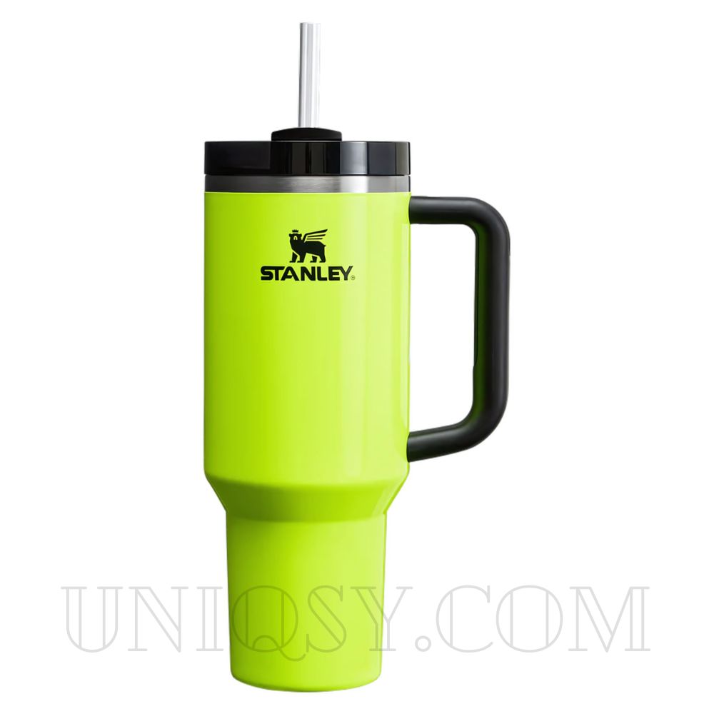 Pink Stanley 40 OZ Quencher Tumbler Cup