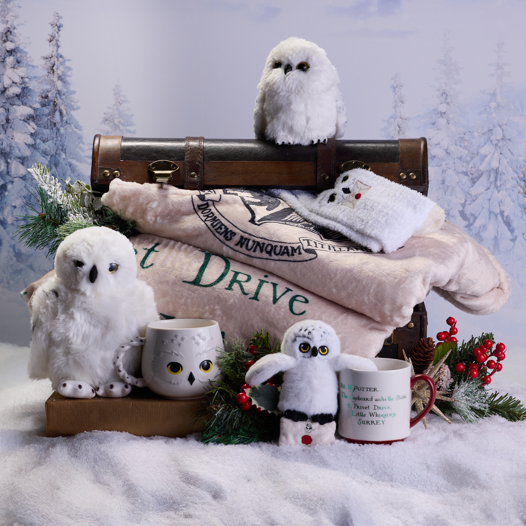 Hedwig Cozy Mug